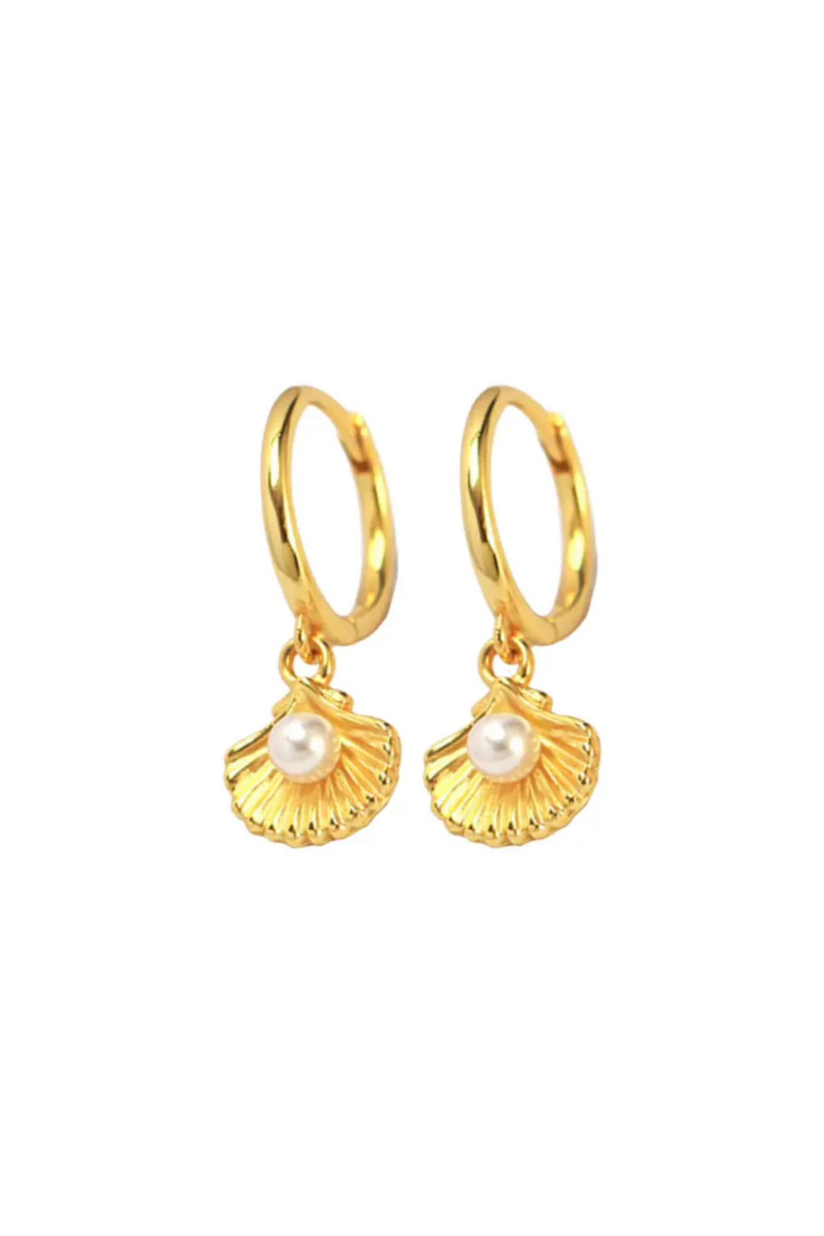 Clam Shell Earring