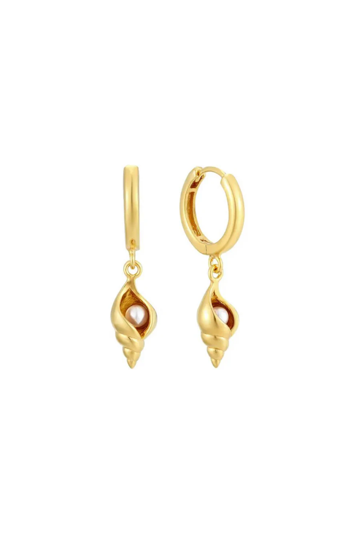 Cone shell Earring