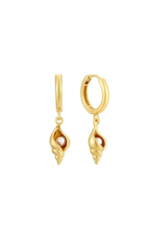 Cone shell Earring